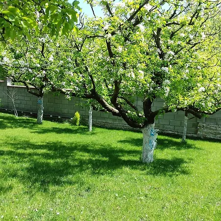 Detelina * Baltschik