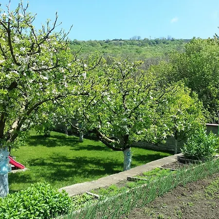 Detelina Holiday home Balchik