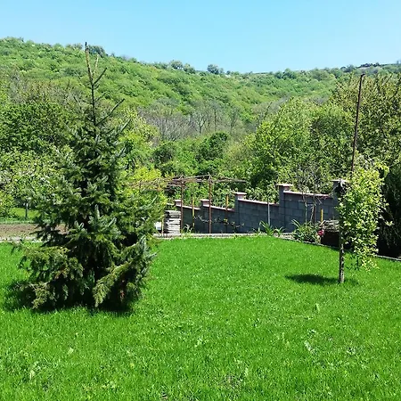 Detelina Holiday home