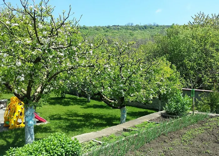 Detelina Holiday home Balchik