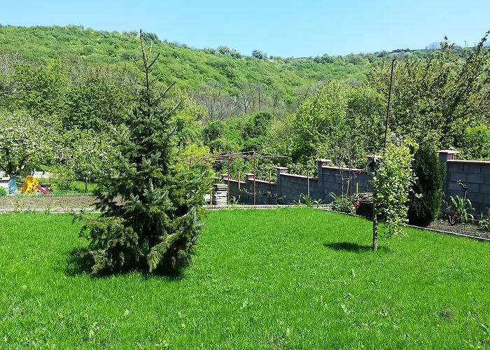 Detelina Holiday home